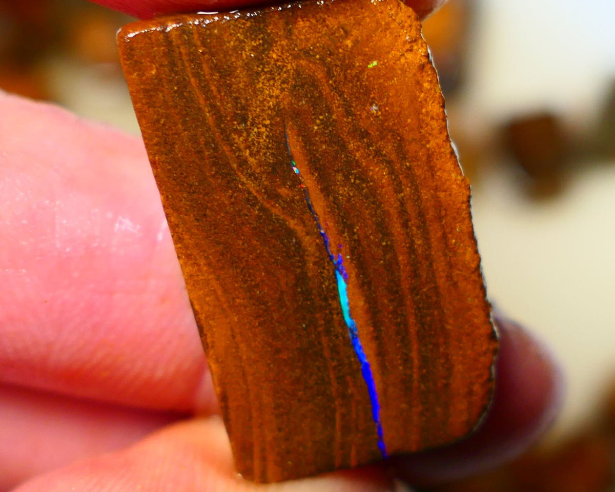 Queensland Boulder / Matrix opal 22cts rough/rub Winton Bright Green & Blue fires showing in a vein 29x17x3mm ALP006