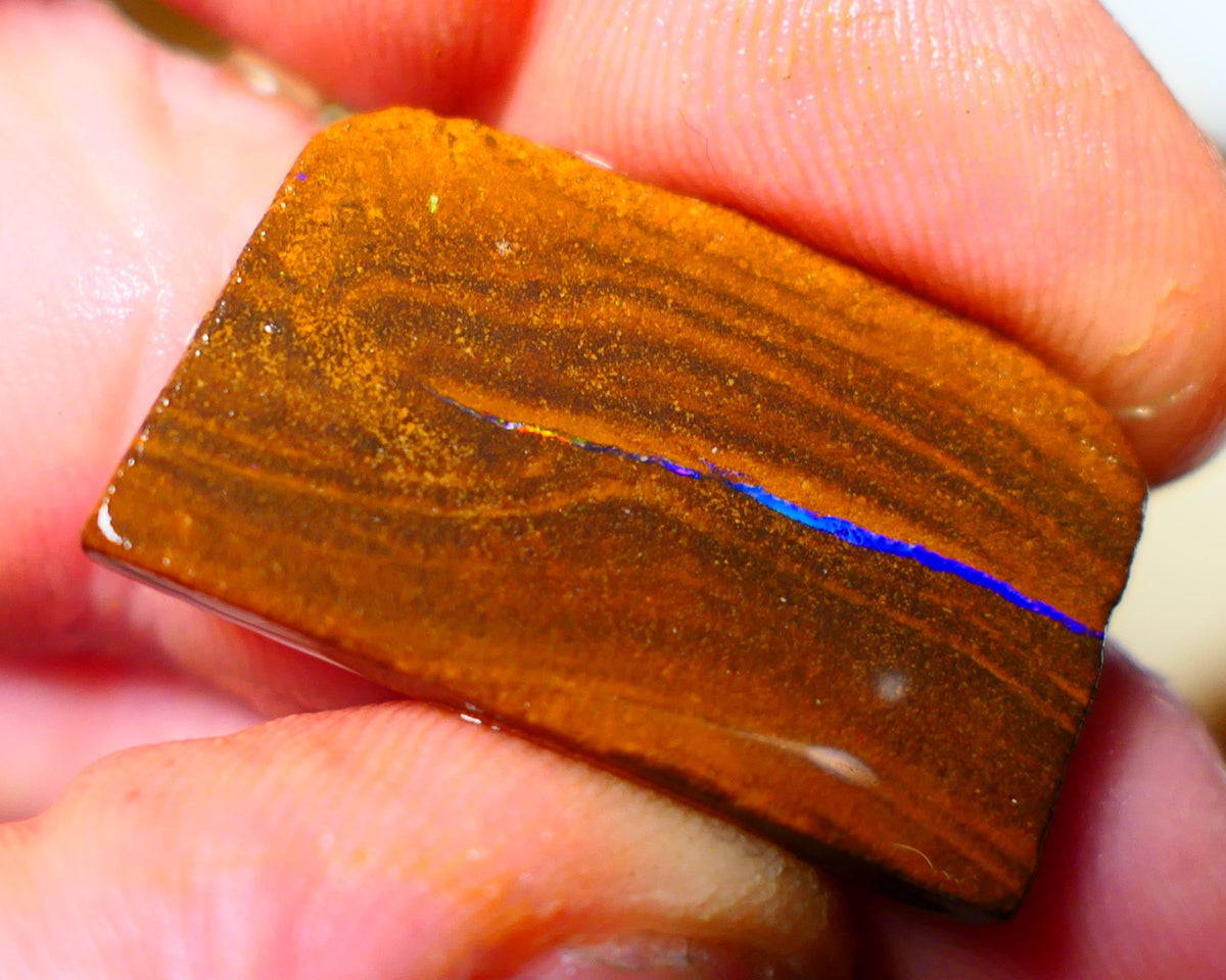 Queensland Boulder / Matrix opal 22cts rough/rub Winton Bright Green & Blue fires showing in a vein 29x17x3mm ALP006