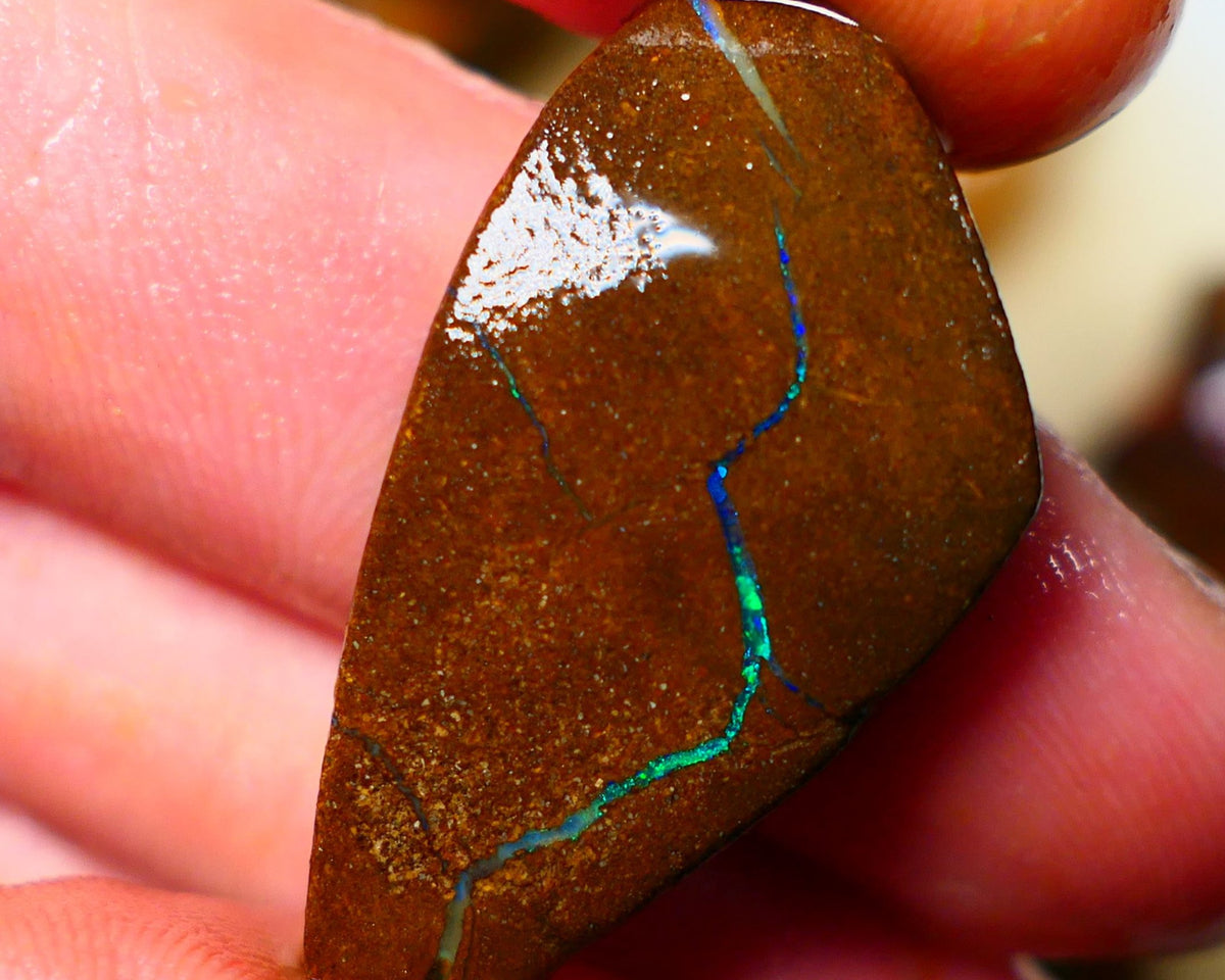 Queensland Boulder / Matrix opal 35cts Big rough/rub Winton Bright Green & Blue fires showing 34x18x7mm ALP005