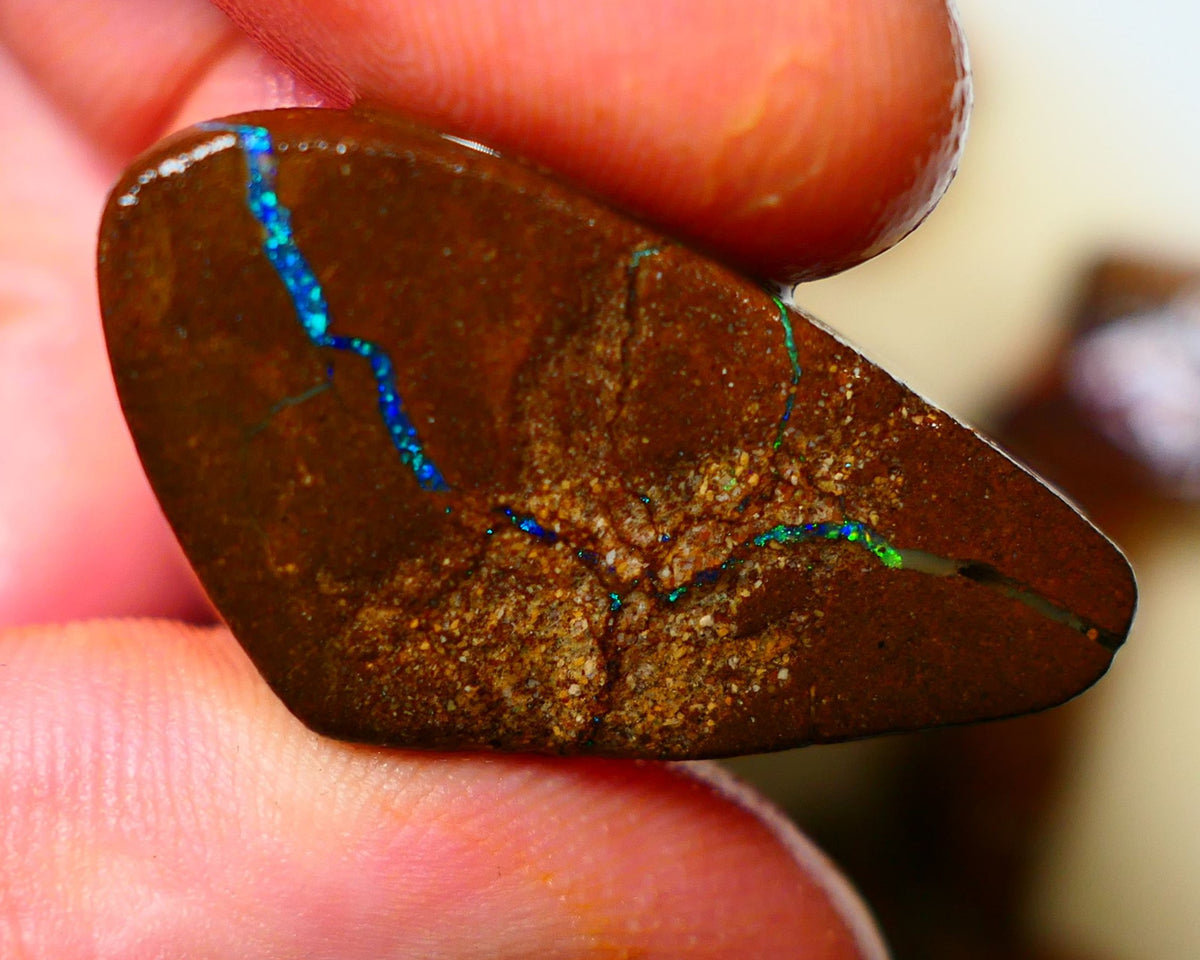 Queensland Boulder / Matrix opal 35cts Big rough/rub Winton Bright Green & Blue fires showing 34x18x7mm ALP005