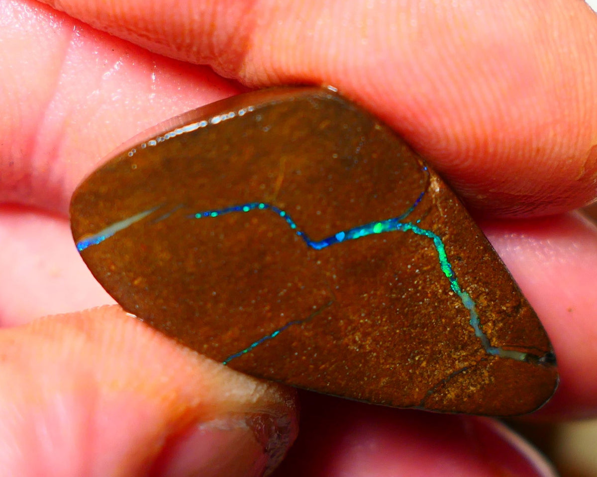 Queensland Boulder / Matrix opal 35cts Big rough/rub Winton Bright Green & Blue fires showing 34x18x7mm ALP005