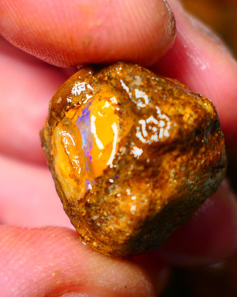 Queensland Ironstone Boulder opal nodule Showing Nice Bright Blue colours ALP0