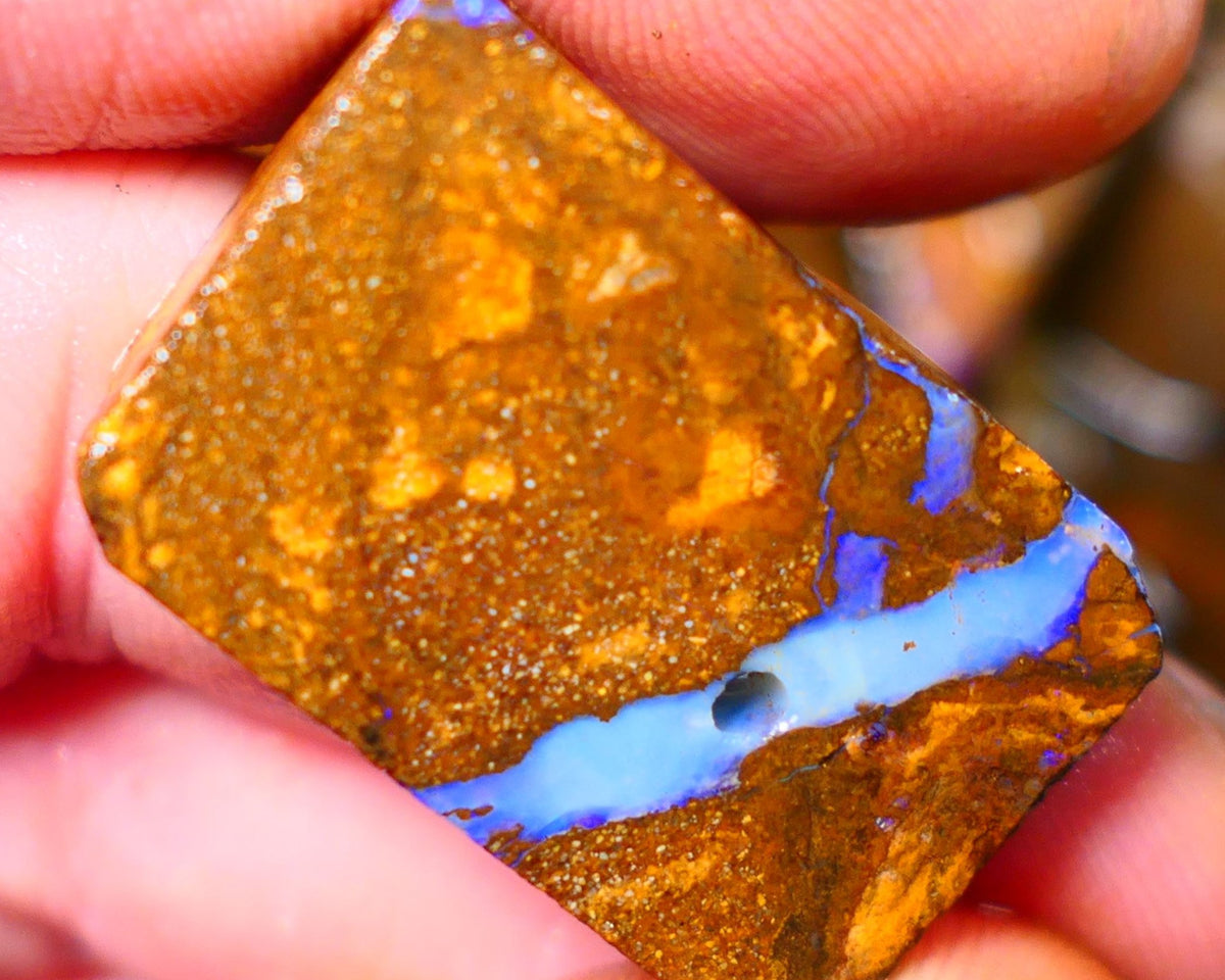 Queensland Boulder / Matrix opal 50cts rough/rub Winton Bright Blue fires showing in a vein 31x20x7mm ALP011