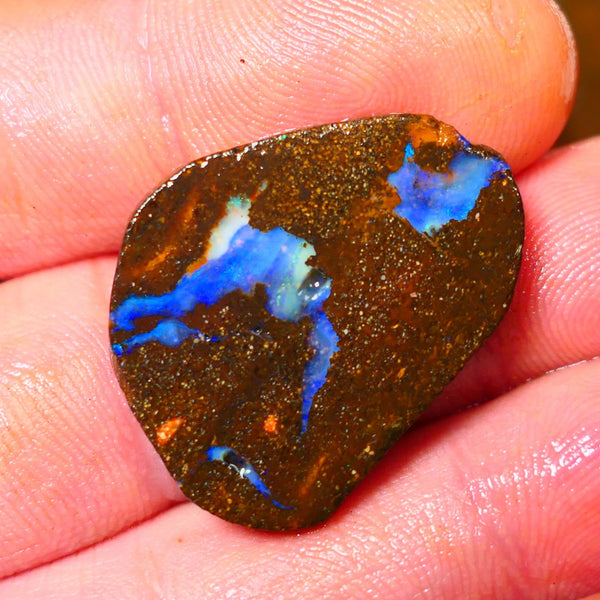 Queensland Boulder / Matrix opal 25cts rough/rub Winton Bright Blue fires showing in a vein 29x23x4mm ALP010