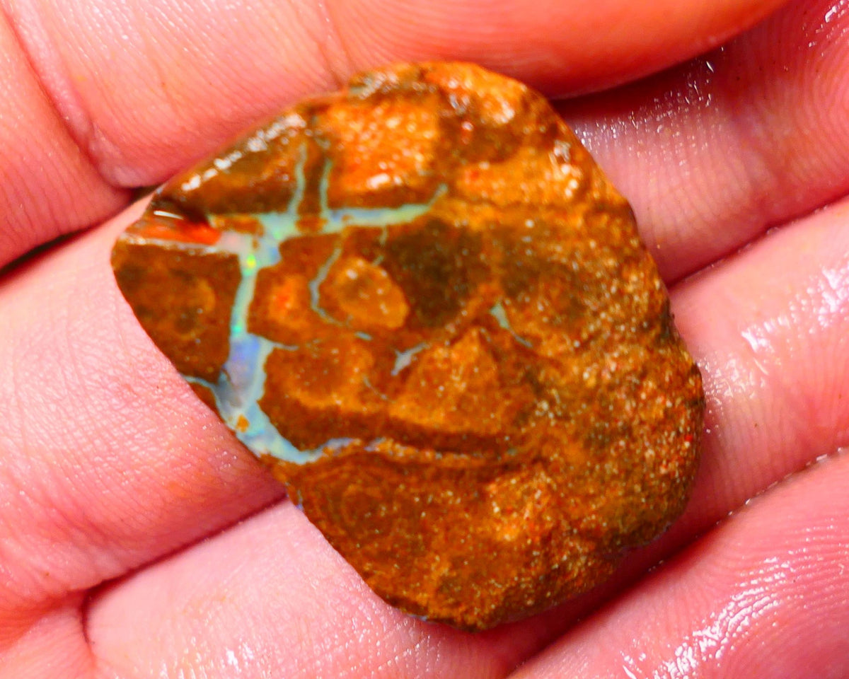 Queensland Boulder / Matrix opal 42cts rough/rub Interesting veins of opal with some Green & Blue fires showing in a vein 33x24x6mm ALP0