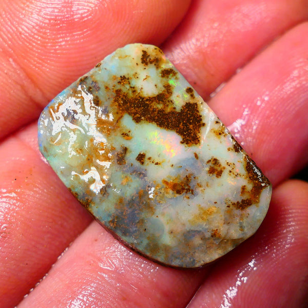 Queensland Boulder / Matrix opal 35cts rough/rub Winton Flashes of Orange fires showing in a vein ALP013