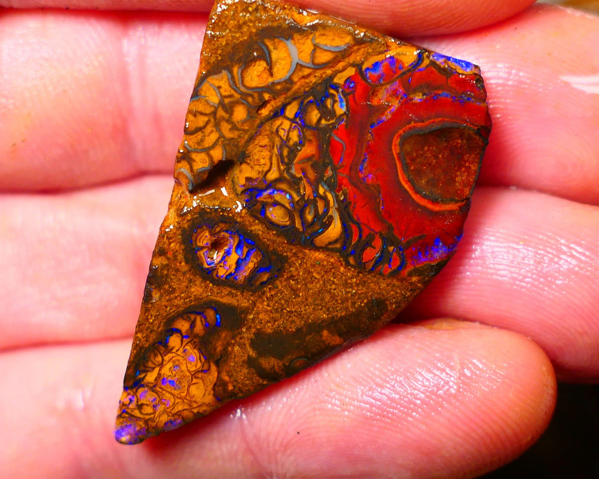 Queensland Boulder / Matrix opal 65cts Big rough/rub Yowah Gorgeous Bright Blue fires show plenty to go at here 38X23X9MM ALP007