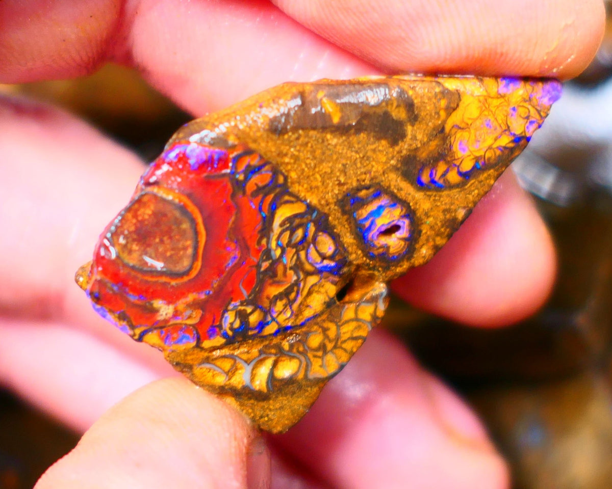 Queensland Boulder / Matrix opal 65cts Big rough/rub Yowah Gorgeous Bright Blue fires show plenty to go at here 38X23X9MM ALP007