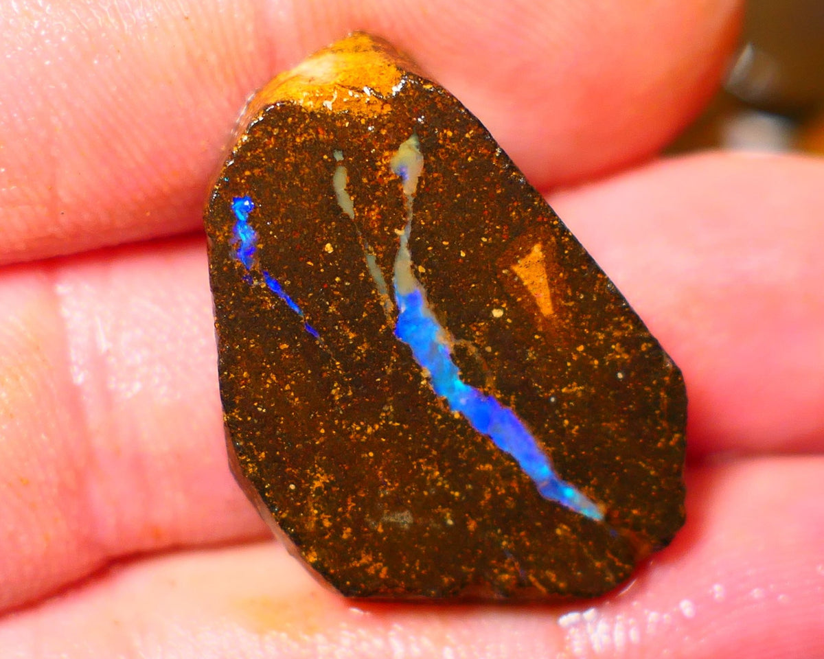 Queensland Boulder / Matrix opal 35cts rough/rub Winton Bright Green & Blue fires showing in a vein 29x20x5mm ALP012