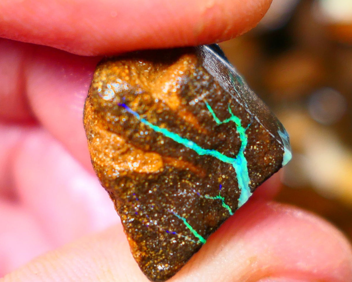 Queensland Boulder / Matrix opal 25cts rough Winton Bright Green Blue fires showing to cut 16x15x11mm ALP008