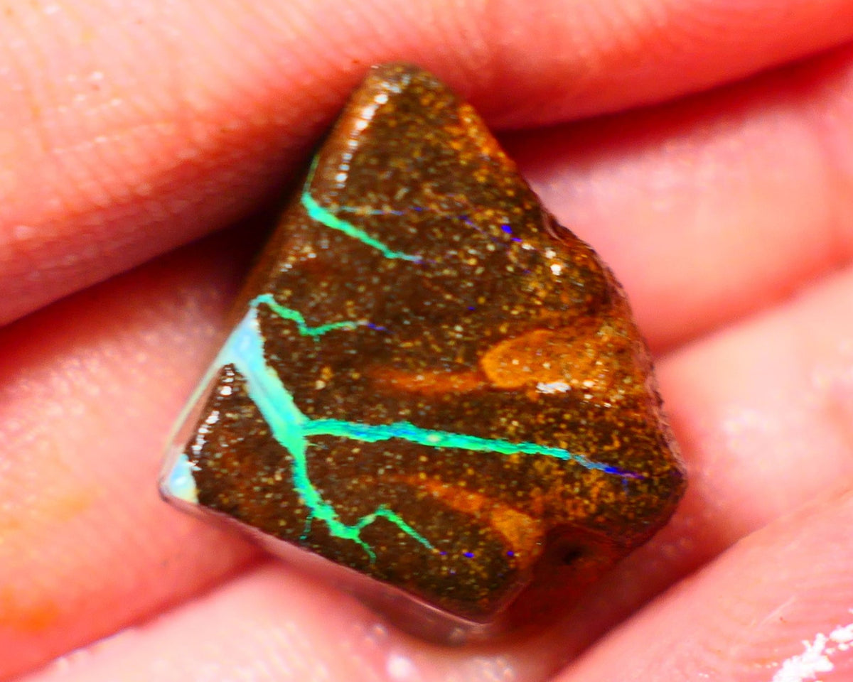 Queensland Boulder / Matrix opal 25cts rough Winton Bright Green Blue fires showing to cut 16x15x11mm ALP008