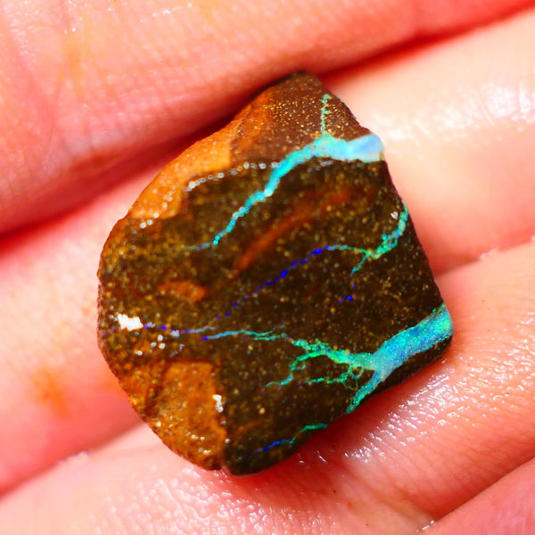 Queensland Boulder / Matrix opal 25cts rough Winton Bright Green Blue fires showing to cut 16x15x11mm ALP008