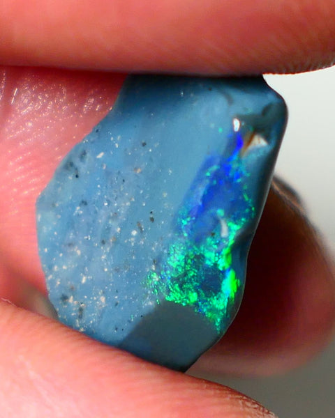 Lightning Ridge Rough Rub Opal 10.00cts Black Base Seam Bright  Gorgeous exposed Vibrant Multifires 23x14x4mm NS351