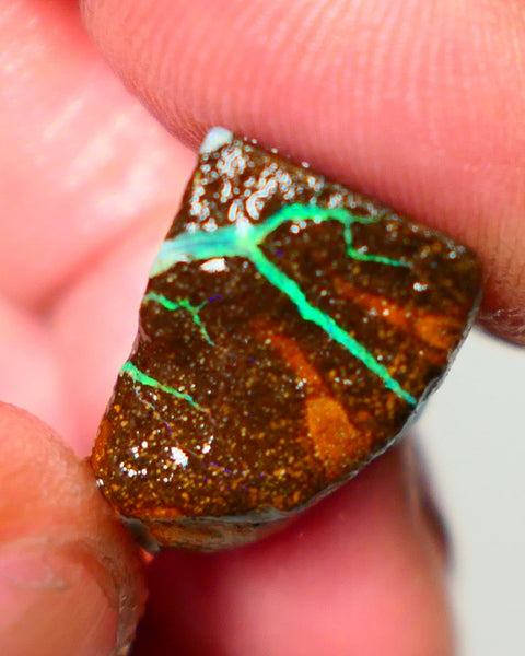 Queensland Boulder / Matrix opal cts rough Winton Bright Green/Blue fires in the veins to cut ALP0