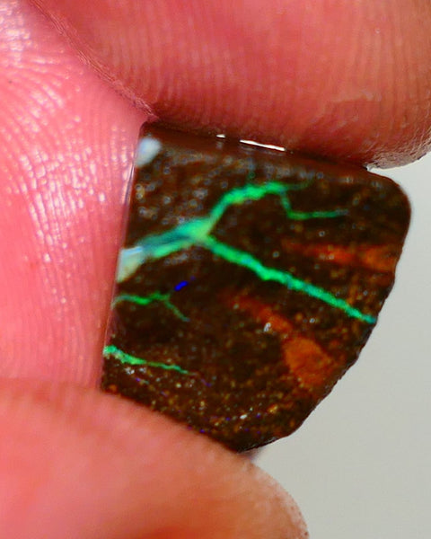 Queensland Boulder / Matrix opal cts rough Winton Bright Green/Blue fires in the veins to cut ALP0