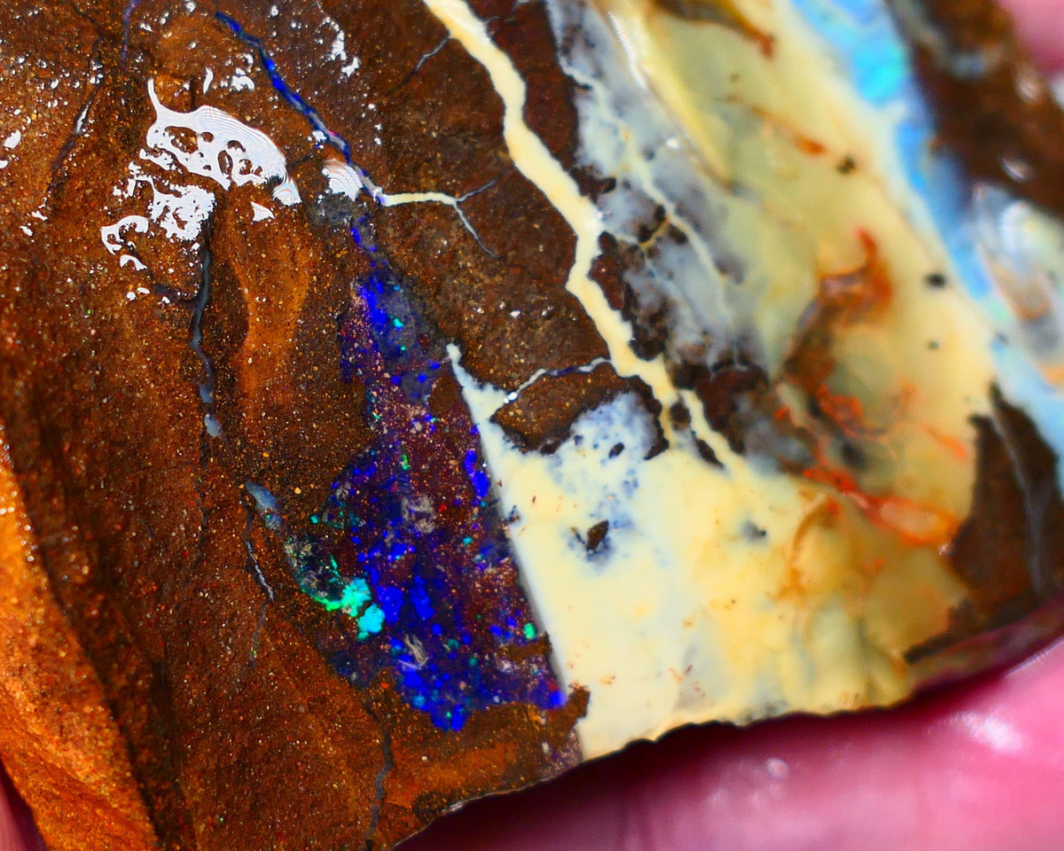 Queensland Boulder Quilpie Field Old School boulder opal large 800cts specimen with Bright colours Weekly Deal 1