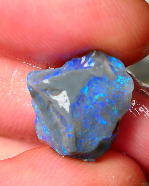 Lightning Ridge Knobby opal rough showing nice bright colours details to come 7.00cts 16x15x7mm ALP107