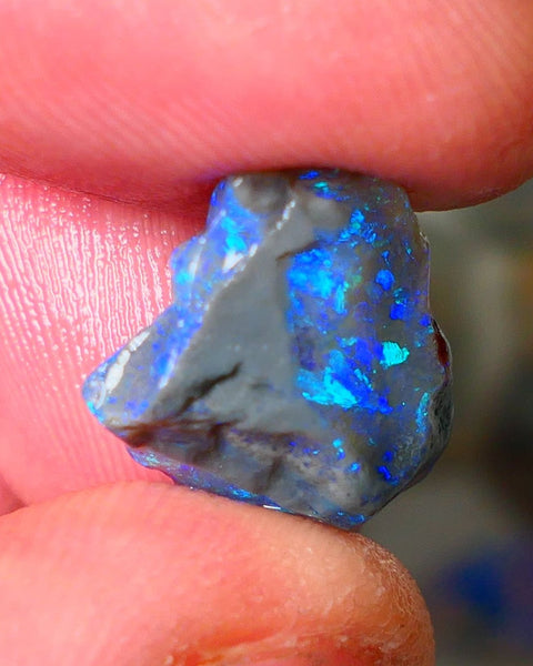 Lightning Ridge Knobby opal rough showing nice bright colours details to come 7.00cts 16x15x7mm ALP107