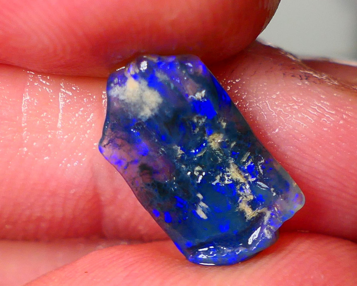 Lightning Ridge Black Crystal Opalised Wood Fossil 2.50cts gorgeous bright blue fires 15x8x3mm Auction27