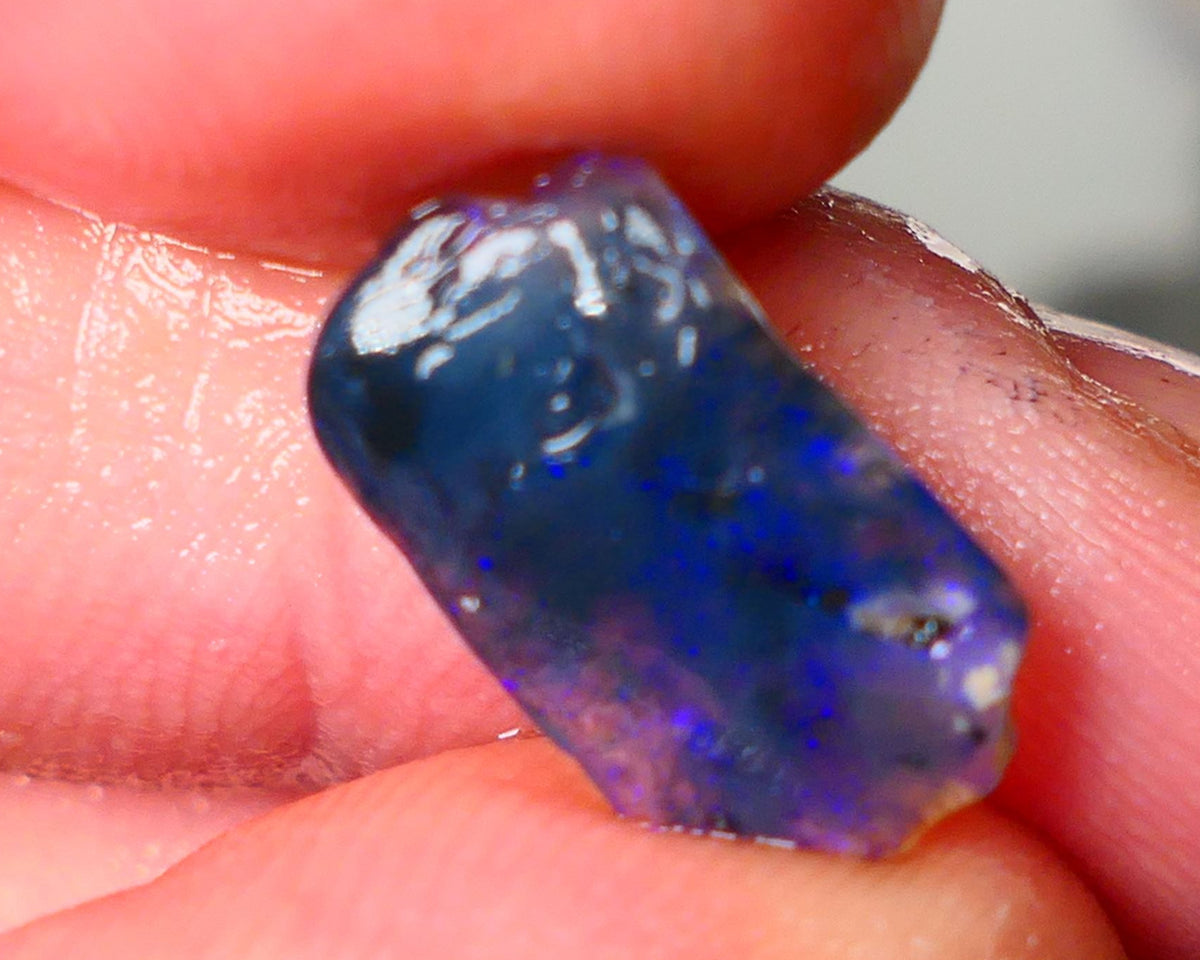 Lightning Ridge Black Crystal Opalised Wood Fossil 2.50cts gorgeous bright blue fires 15x8x3mm Auction27