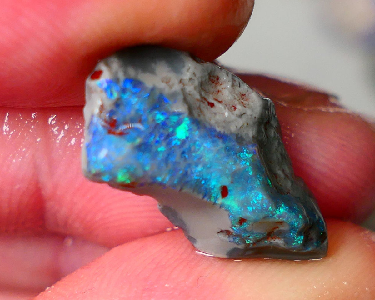 Lightning Ridge Dark base Seam opal 5.50cts showing Blue/Green colours to gamble 21x9x5mm AUCTION29