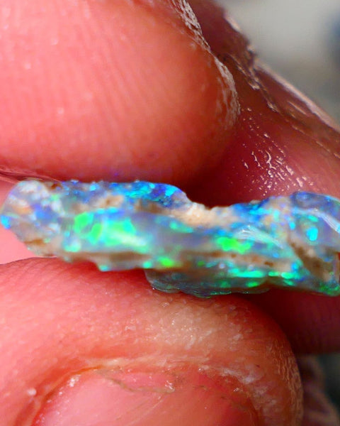 Lightning Ridge Knobby opal rough showing nice bright colours details to come 5.00cts 17x13x4mm ALP104