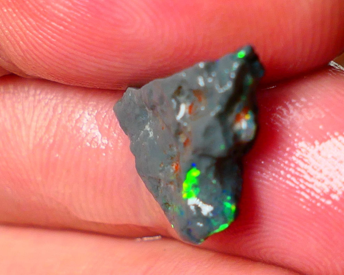 Lightning Ridge N1 Black knobby opal rough piece 3.50cts Check the video showing Nice bars with Bright Multi colours and flashes of the illusive reds 15x11x5mm  ALP125