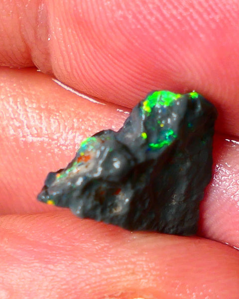 Lightning Ridge N1 Black knobby opal rough piece 3.50cts Check the video showing Nice bars with Bright Multi colours and flashes of the illusive reds 15x11x5mm  ALP125