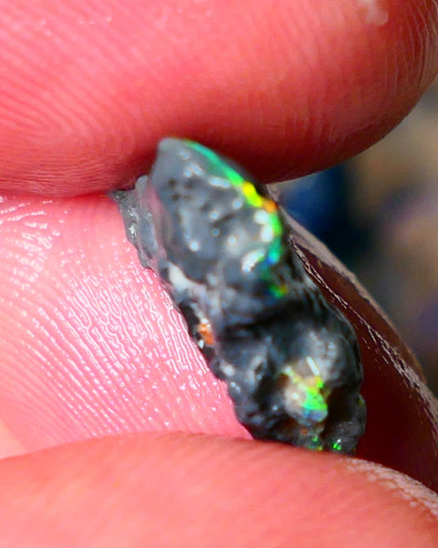 Lightning Ridge N1 Black knobby opal rough piece 3.50cts Check the video showing Nice bars with Bright Multi colours and flashes of the illusive reds 15x11x5mm  ALP125