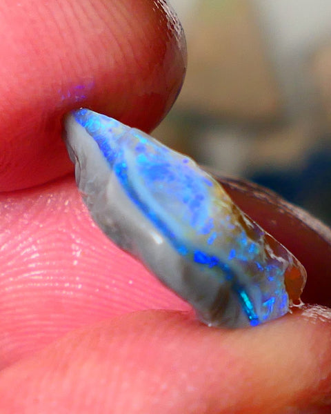 Lightning Ridge Seam opal rough 5.50cts showing nice bright blue colours 17x10x4mm ALP124