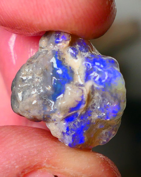 Lightning Ridge Dark Crystal Knobby opal formation rough showing nice bright blue colours 12.50cts 18x14x10mm ALP123