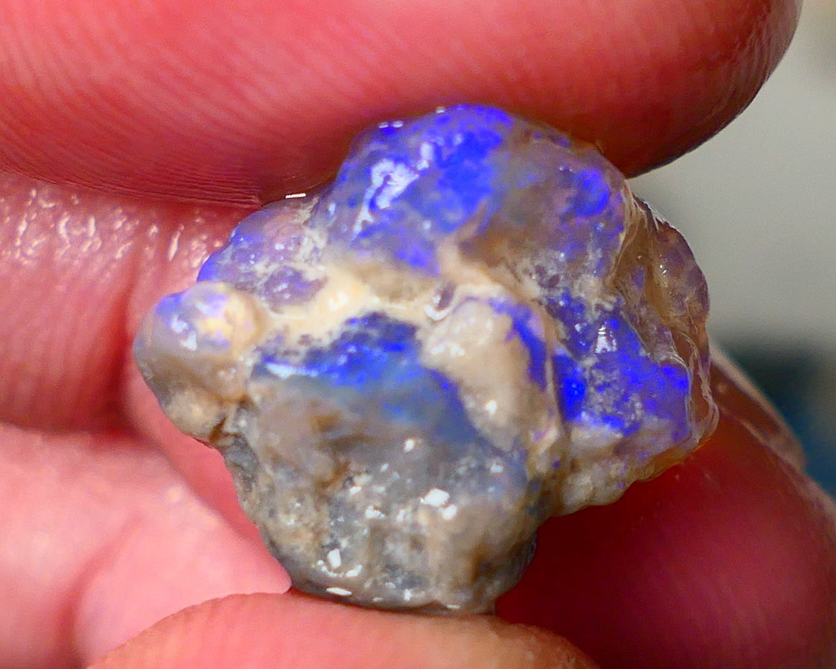 Lightning Ridge Dark Crystal Knobby opal formation rough showing nice bright blue colours 12.50cts 18x14x10mm ALP123