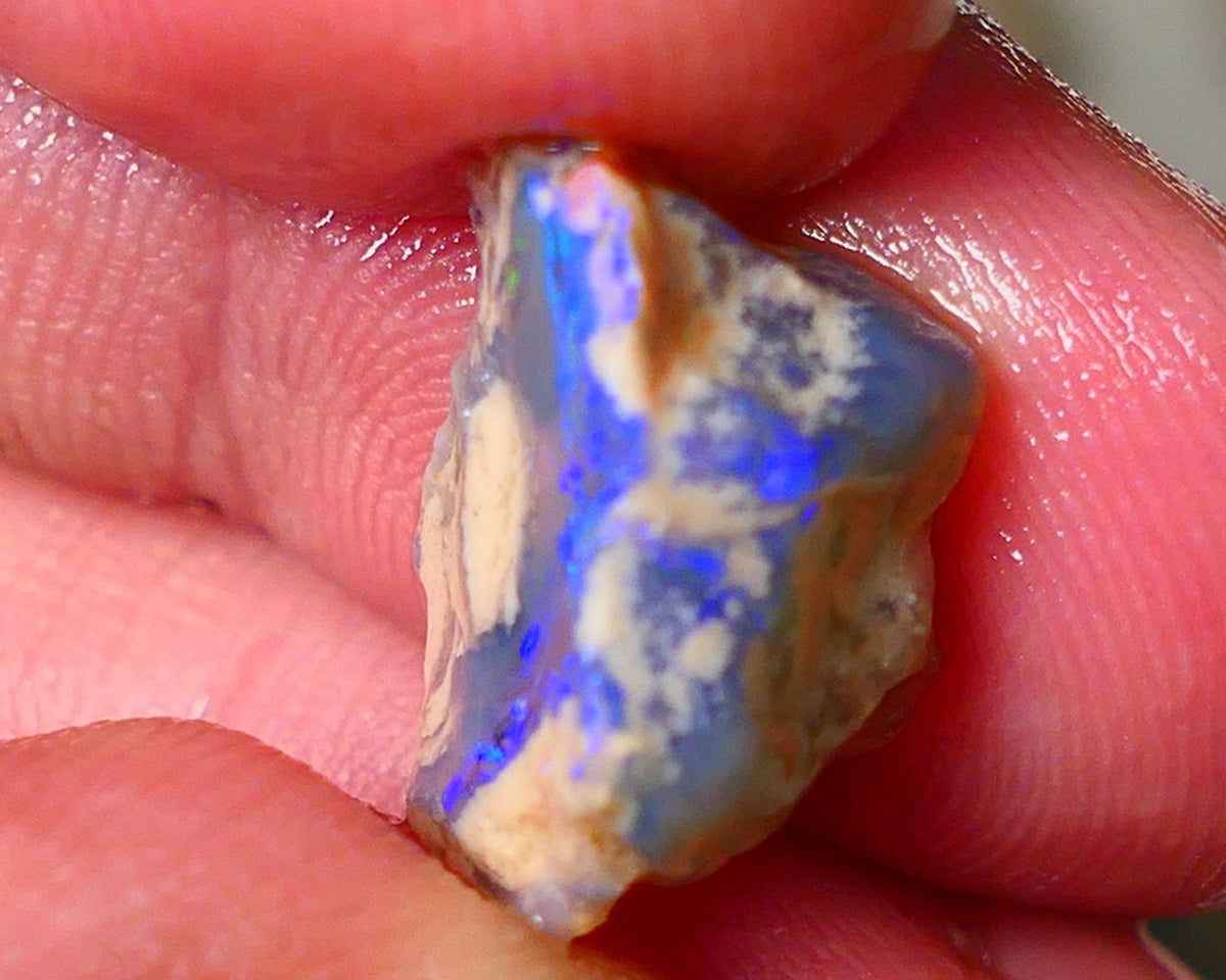 Lightning Ridge Knobby opal formation rough showing nice bright blue colours 7.25cts 16x10x9mm ALP122