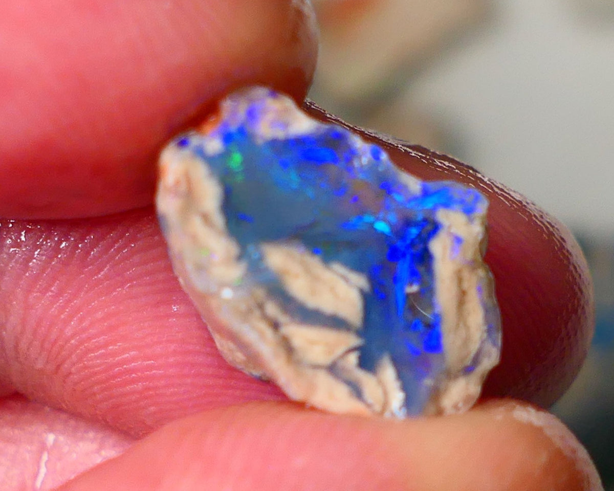 Lightning Ridge Knobby opal formation rough showing nice bright blue colours 7.25cts 16x10x9mm ALP122