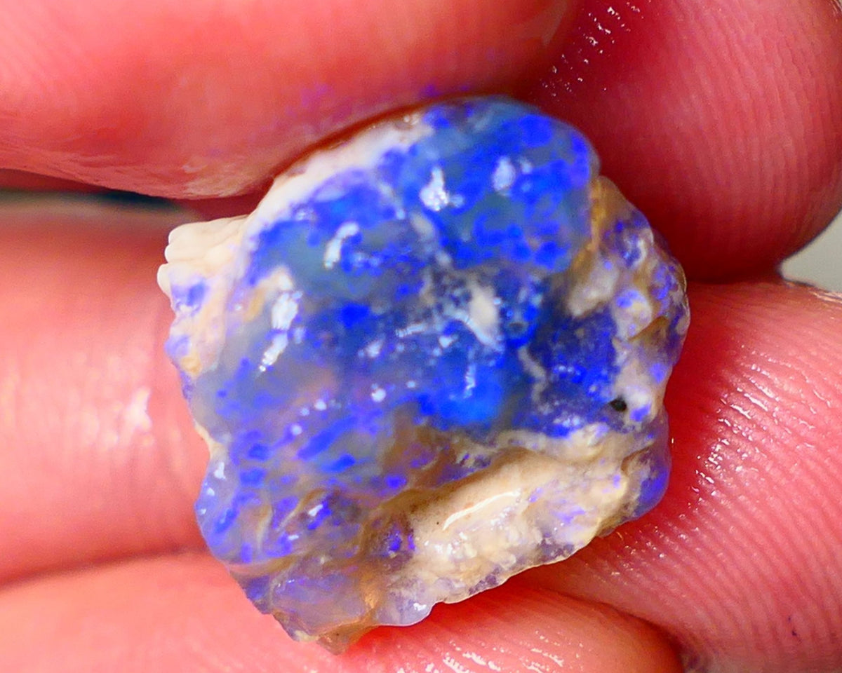 Lightning Ridge Knobby opal rough showing nice bright Deep blue colours 13.00cts 19x1x11mm ALP121