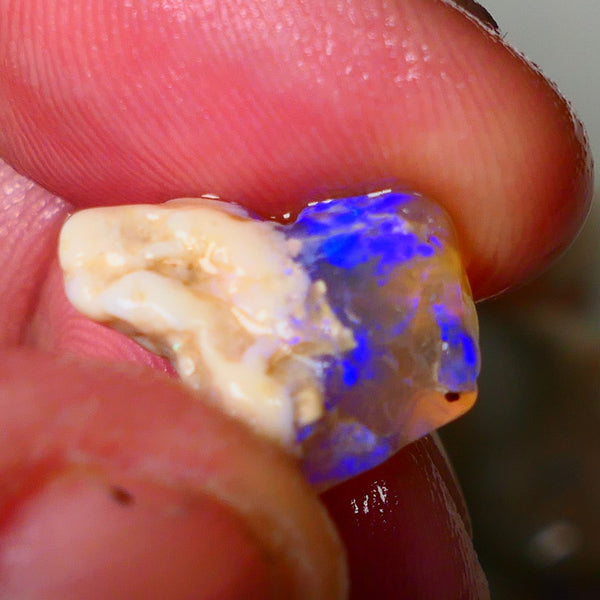 Lightning Ridge Knobby opal formation rough showing nice bright blue colours 8.50cts 18x13x9mm ALP119