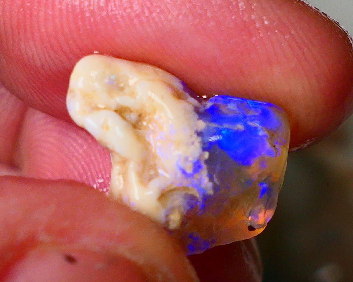 Lightning Ridge Knobby opal formation rough showing nice bright blue colours 8.50cts 18x13x9mm ALP119