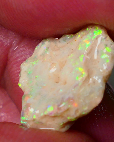 Lightning Ridge Gamble Knobby opal formation rough showing Very bright Yellow dominant Multi colours 7.00cts 20x13x5mm ALP116