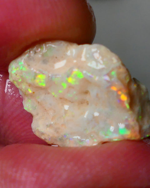 Lightning Ridge Gamble Knobby opal formation rough showing Very bright Yellow dominant Multi colours 7.00cts 20x13x5mm ALP116