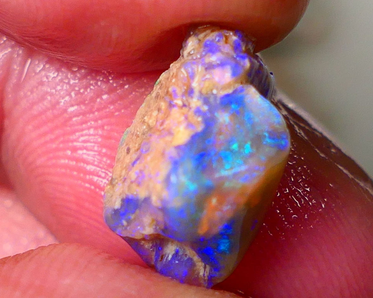 Lightning Ridge Gamble Knobby opal rough showing Very bright Multi colours 6.00cts 16x11x7mm  ALP114