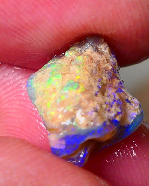 Lightning Ridge Gamble Knobby opal rough showing Very bright Multi colours 6.00cts 16x11x7mm  ALP114