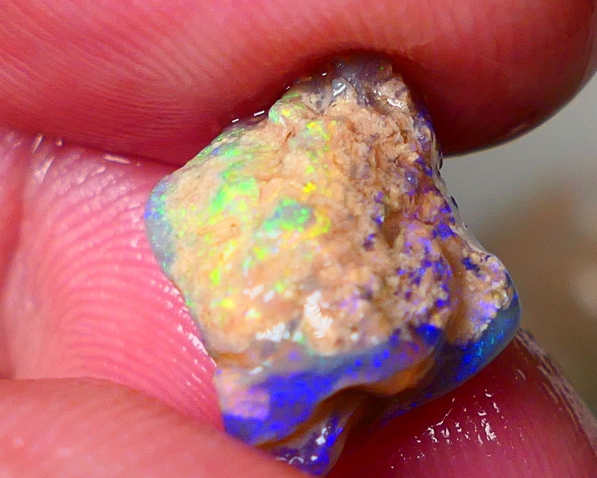 Lightning Ridge Gamble Knobby opal rough showing Very bright Multi colours 6.00cts 16x11x7mm  ALP114