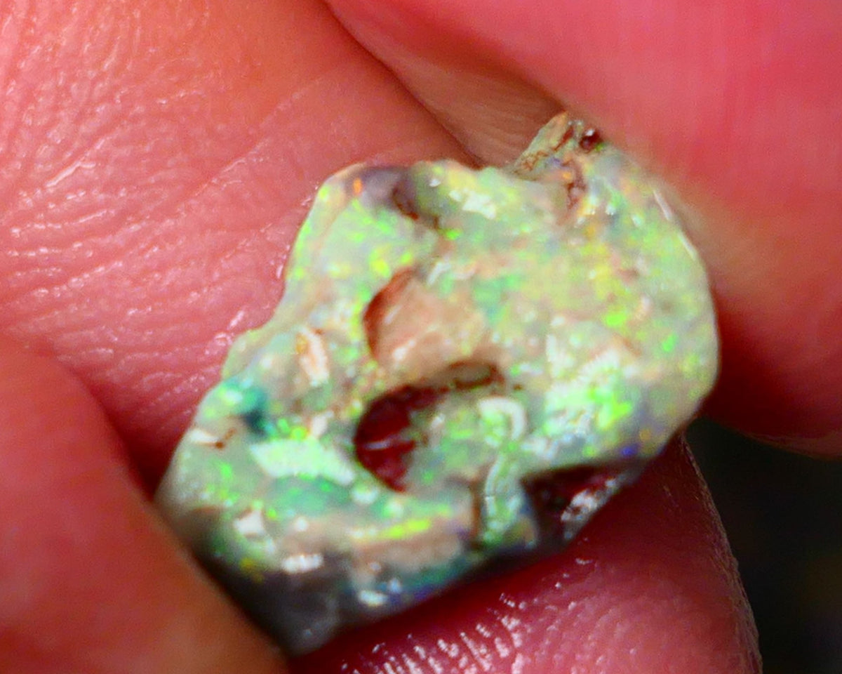 Lightning Ridge Gamble opal rough showing nice bright colours  3.50cts 18x11x4mm ALP111