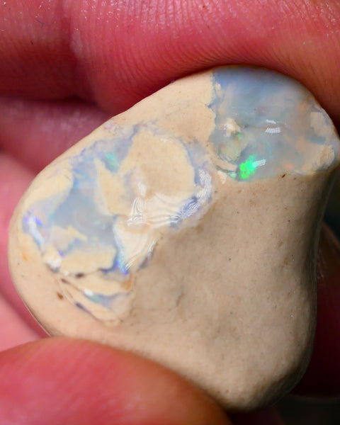 Lightning Ridge Gamble 42.00cts knobby opal formation rough clay/sand host rock 27x26x14mm AUCTION26