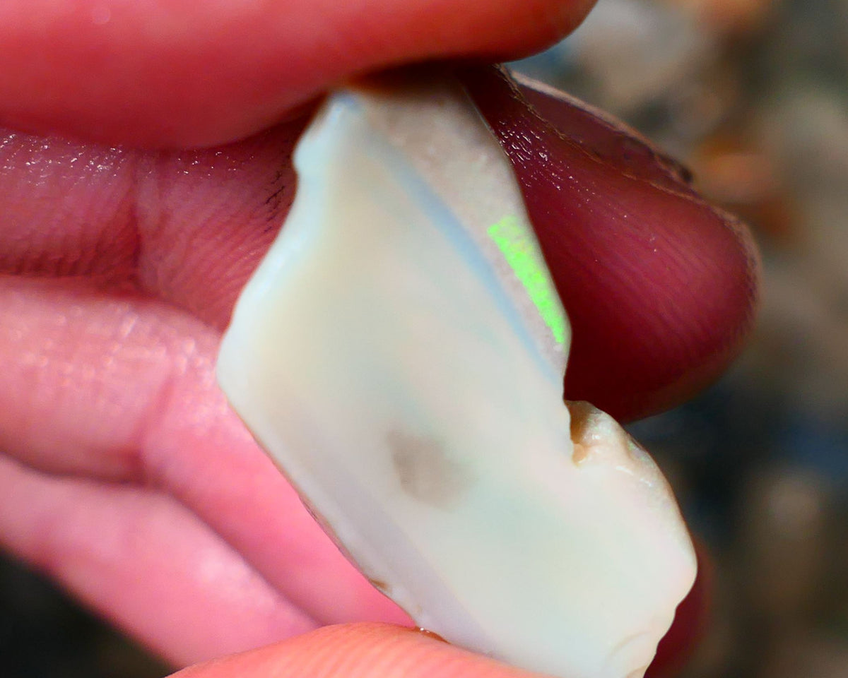 Lightning Ridge Grey base Seam opal 16.00cts showing Mostly Green colours to gamble 26x12x10mm Auction25