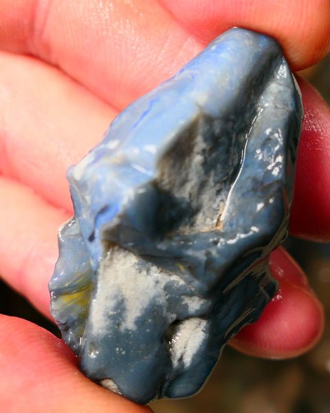 Big Size Lightning Ridge Black Seam opal 68cts showing some flashes of blues colours to gamble 43x26x14mm Auction24