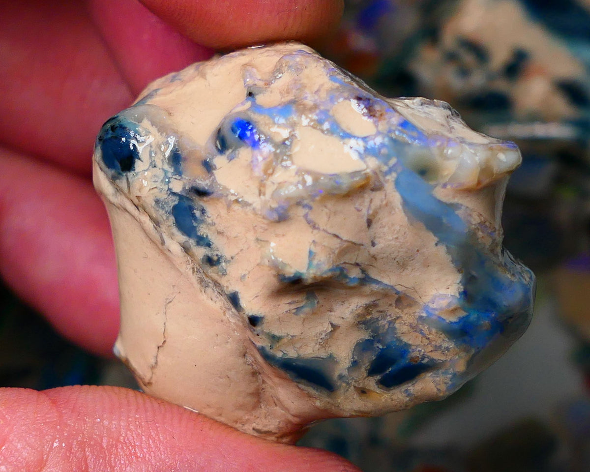 Lightning Ridge Gamble Monster sized 190cts Knobby opal rough showing some colours 37x33x30mm ALP127