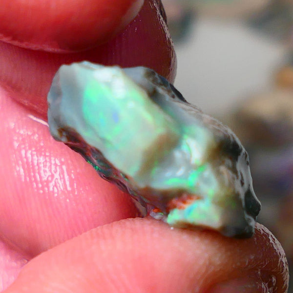 Lightning Ridge Knobby opal rough 15.50cts showing nice bright Multi colours 21x19x8mm ALP135