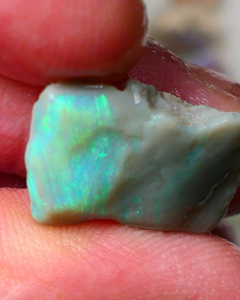 Lightning Ridge Gamble opal rough 10.00cts showing nice bright Green colours 21x14x5mm ALP138