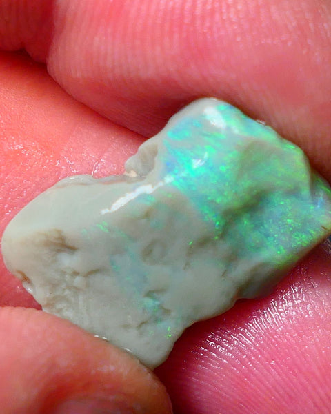 Lightning Ridge Gamble opal rough 10.00cts showing nice bright Green colours 21x14x5mm ALP138